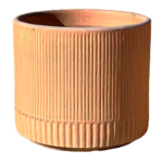 46-Wheat-gylden-1-webxx