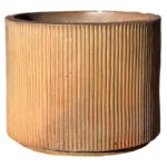 65-Wheat-gylden-1-webx