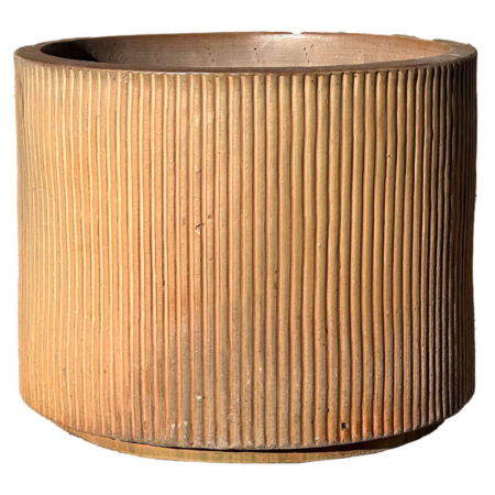 65-Wheat-gylden-1-webx