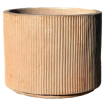 65-Wheat-oliven-1-webx